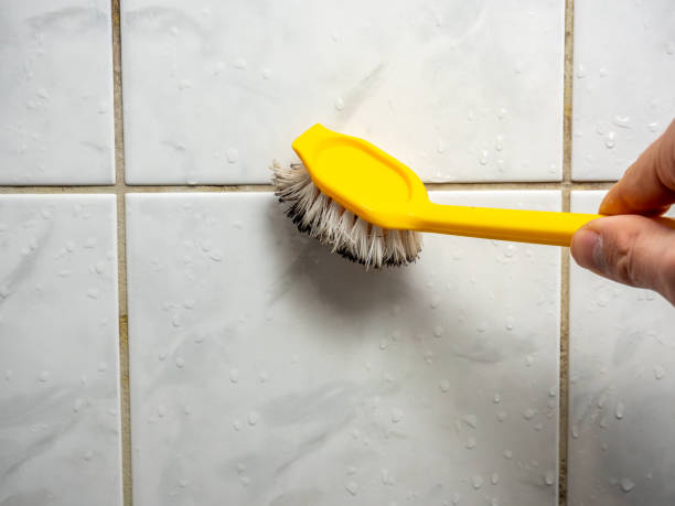 Best Mold Removal Near Me  in Leisure Knoll, NJ