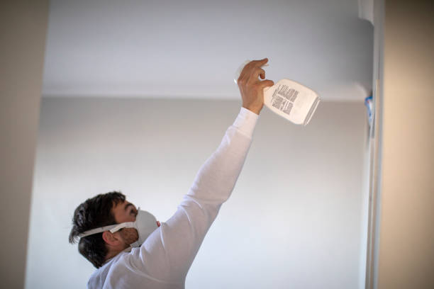 Best Mold Removal Near Me  in Leisure Knoll, NJ