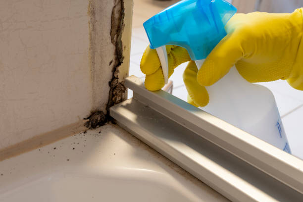 Best Commercial Mold Removal  in Leisure Knoll, NJ