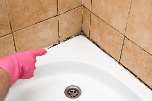 Best Mold Cleaning Services  in Leisure Knoll, NJ